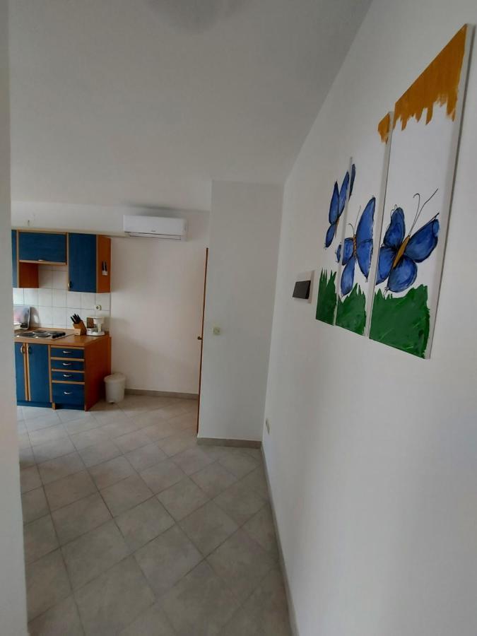 Delac * Vodice