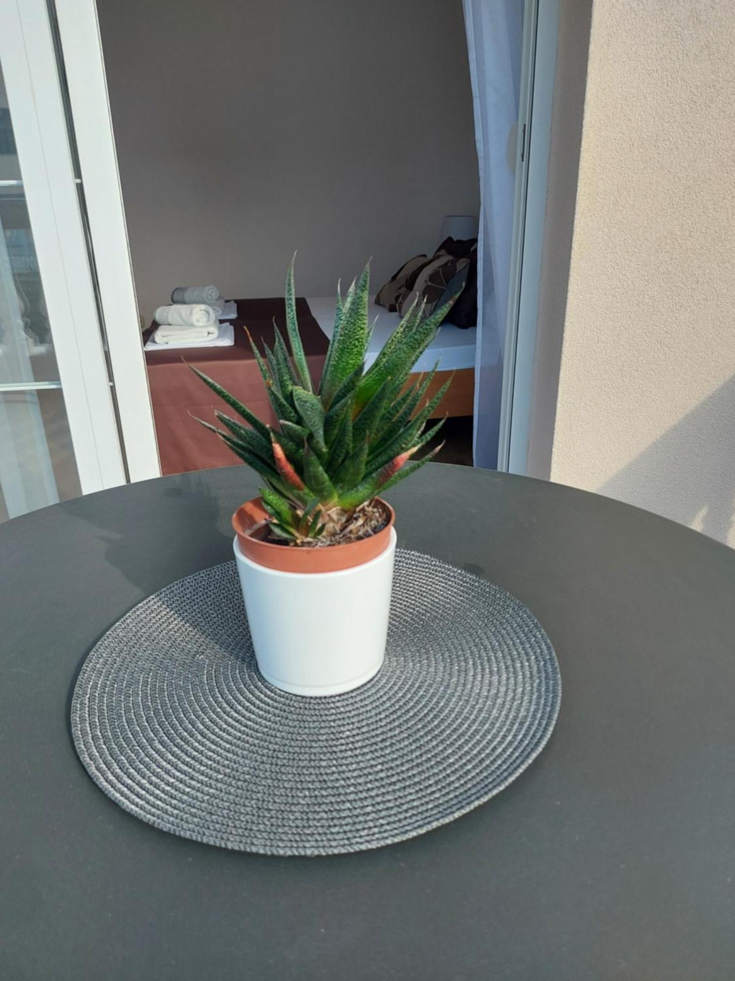 Apartment Delac